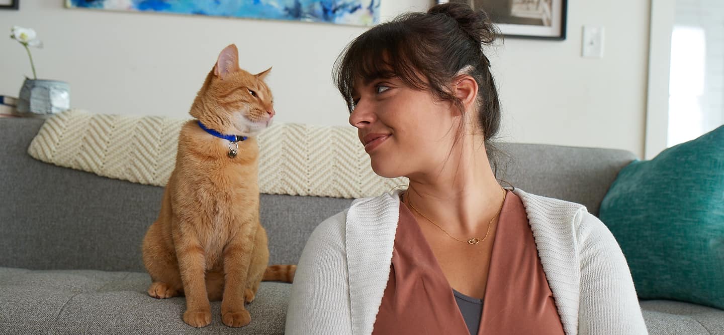 Cat in the living room looking at a lady