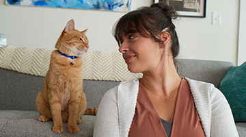 Cat in the living room looking at a lady