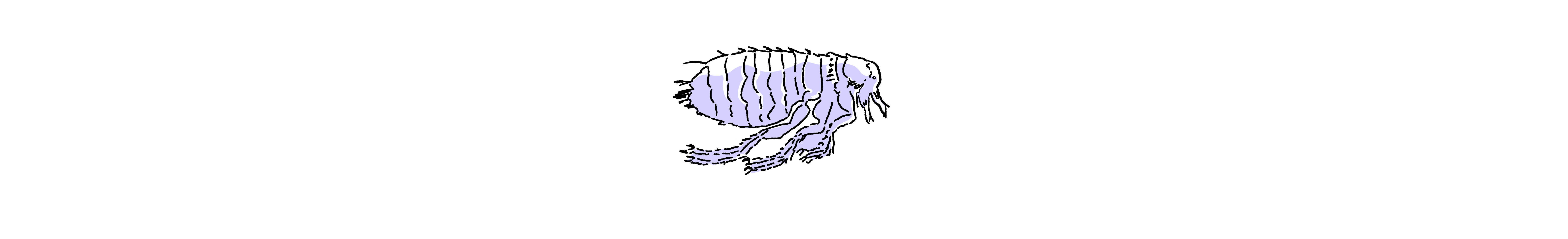 dog fleas icon