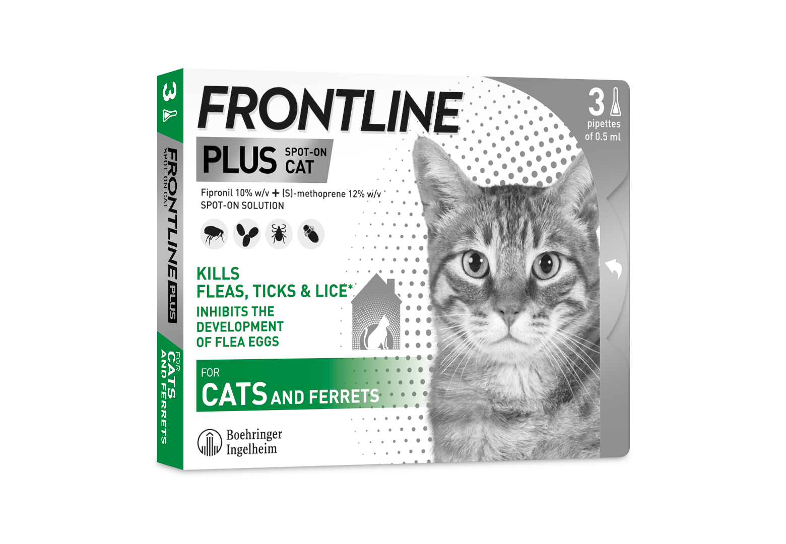 Plus large image cats