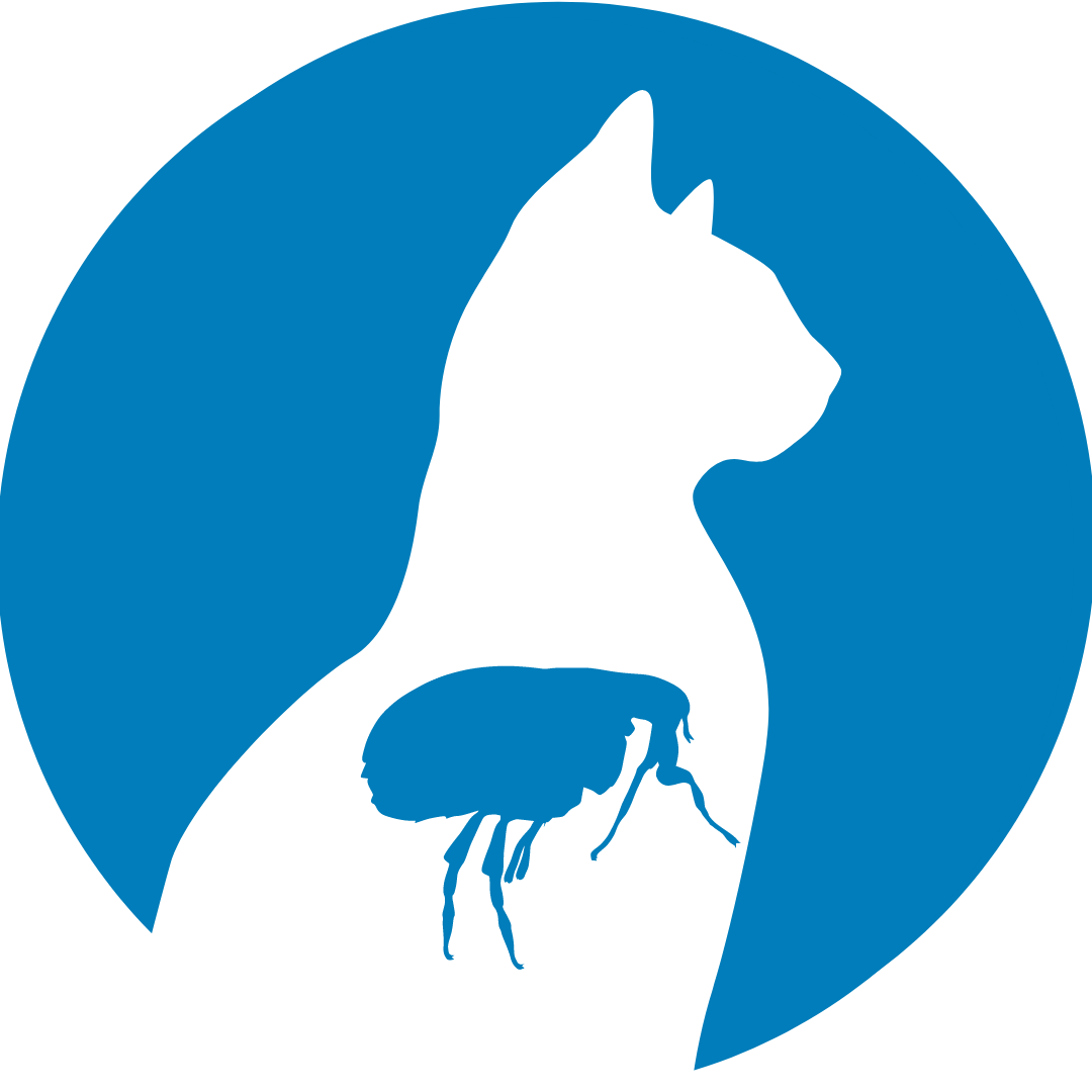 Cat Fleas