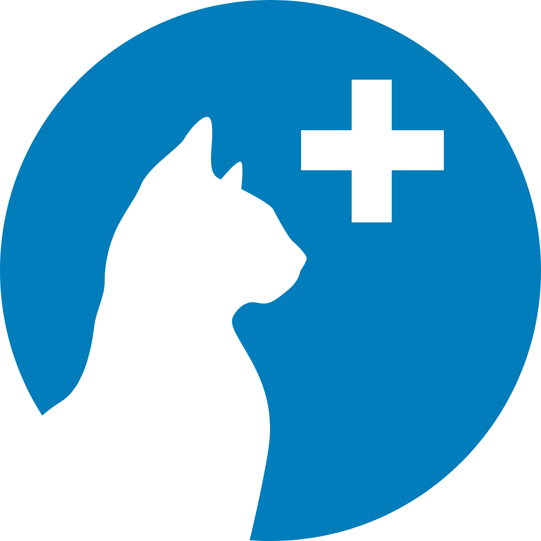 Cat Health