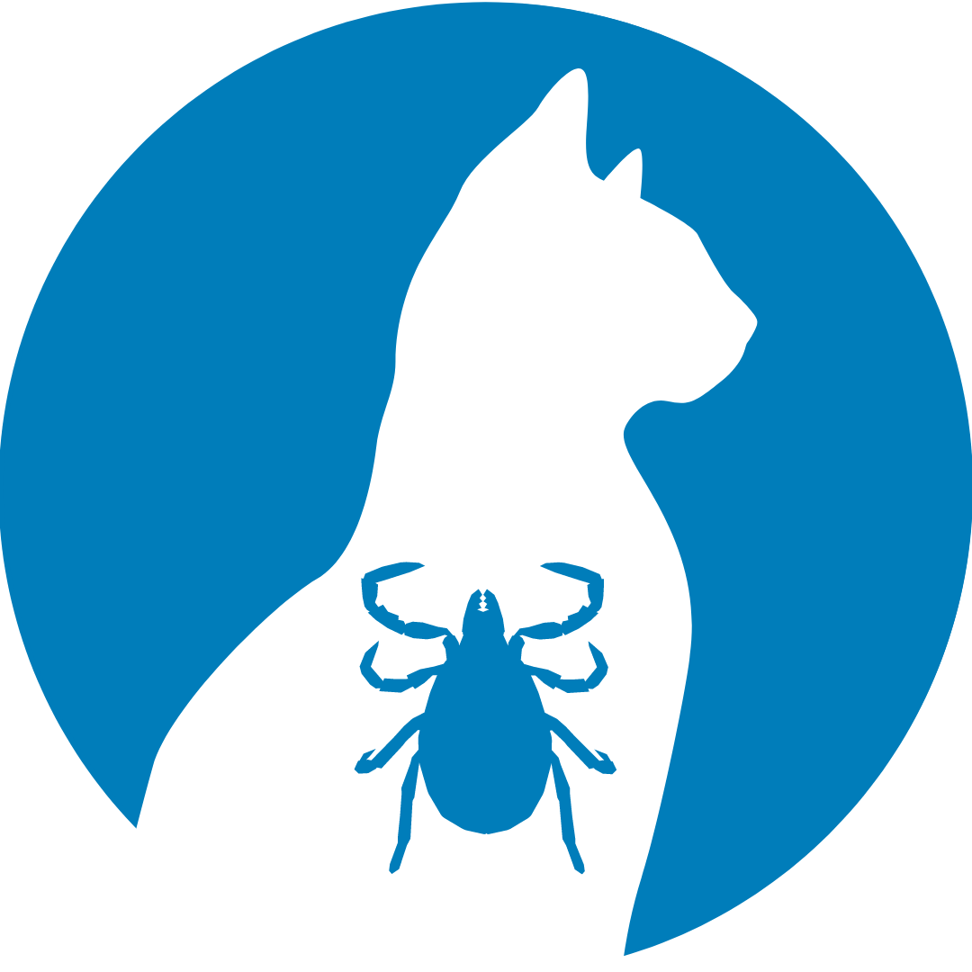 Cat Ticks