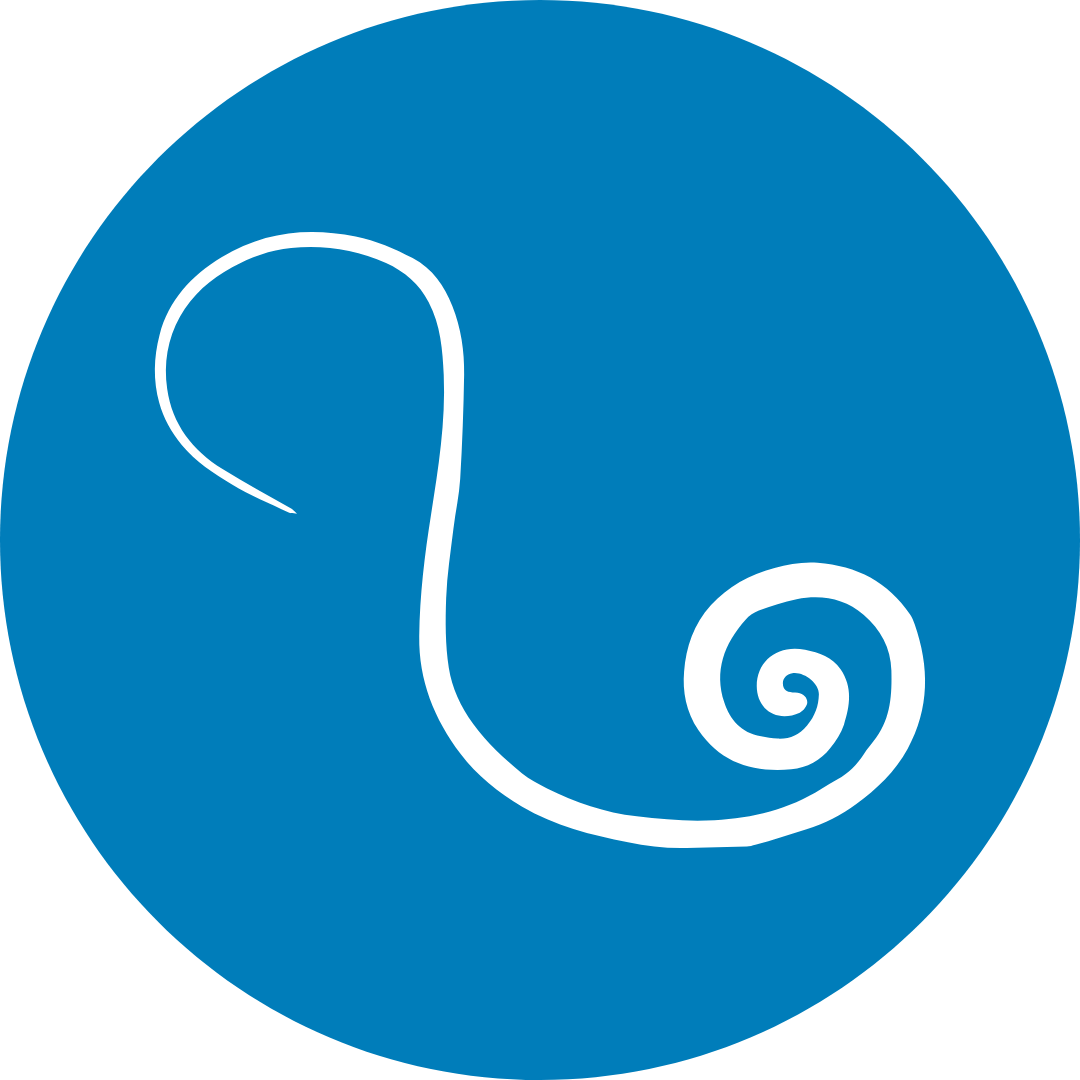 Cat Worms