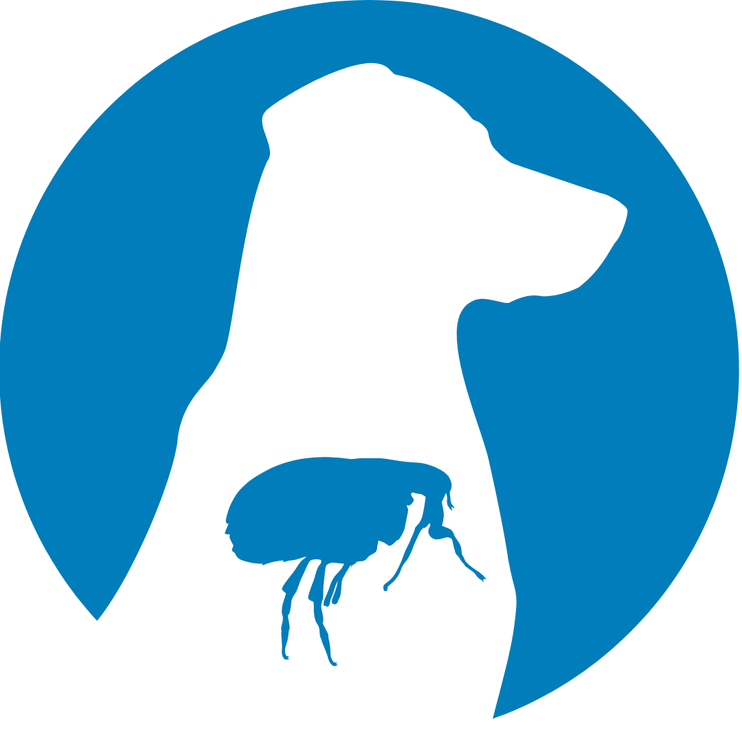 Dog Fleas