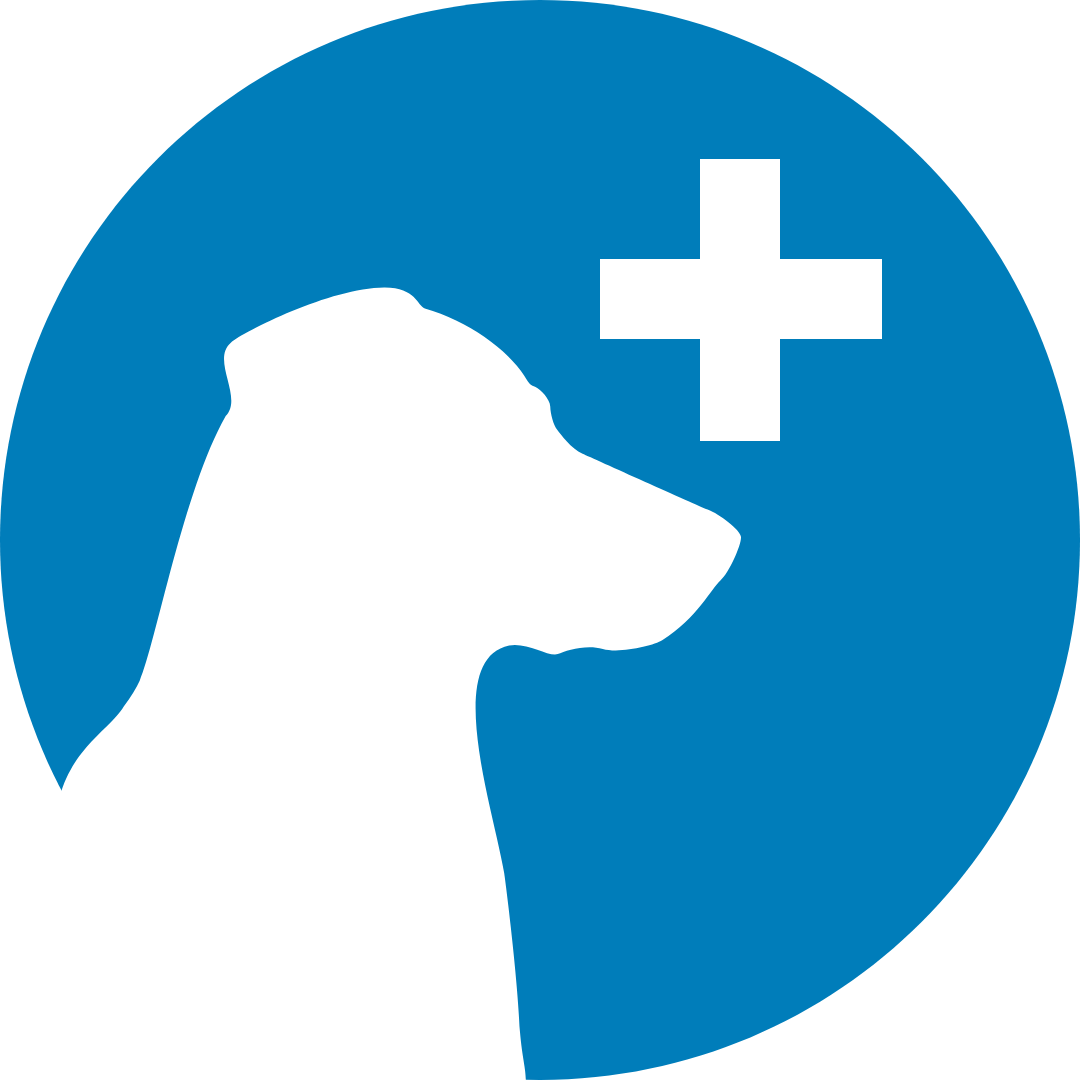 Dog Health