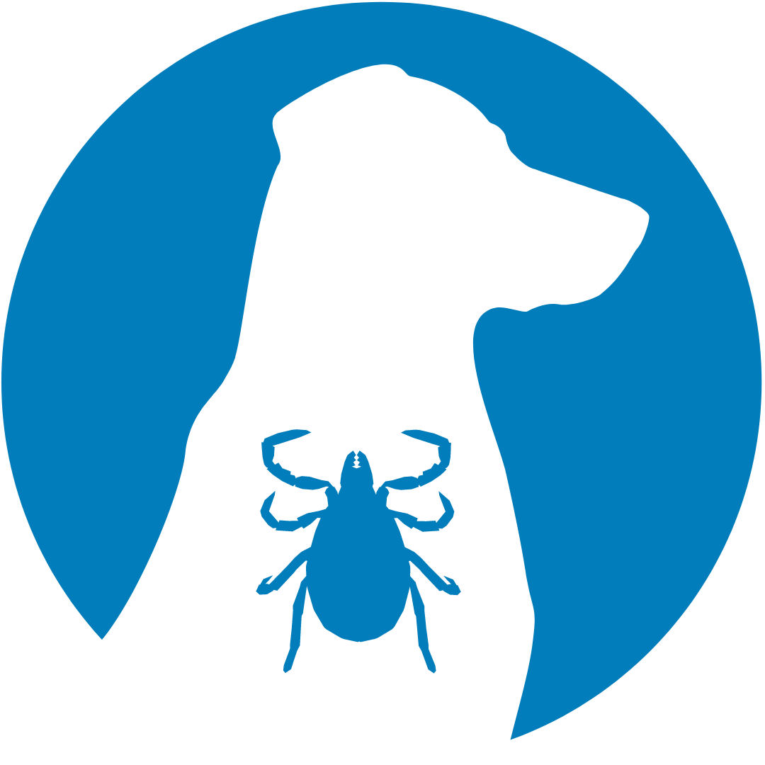 Dog Ticks