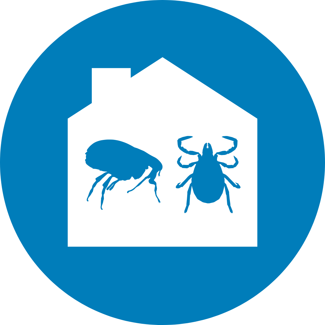 House Fleas & Ticks