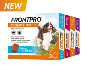 P.2 C.4 FrontPro tile Desktop.png