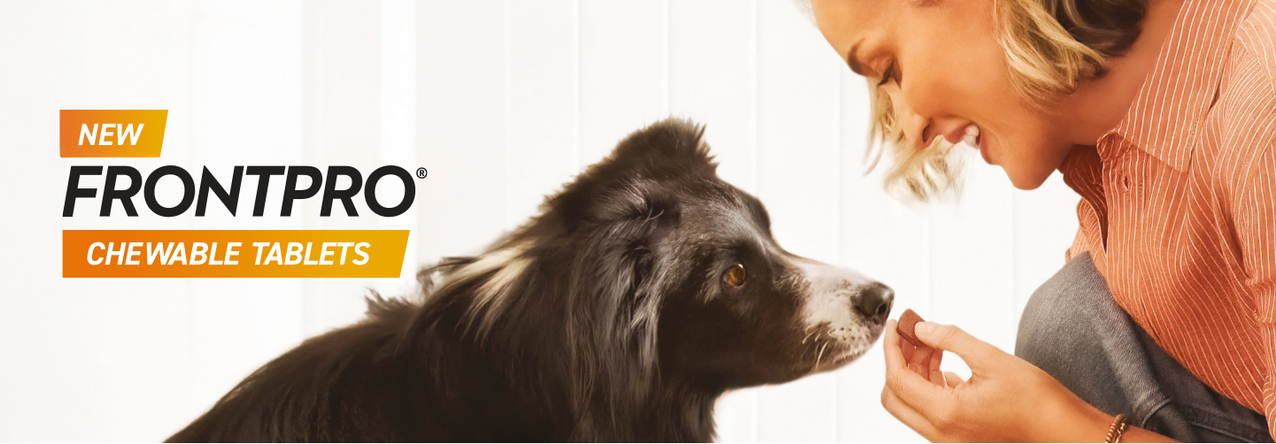 New FRONTPRO chewable Tablets