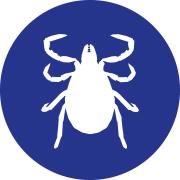 Homegard tick