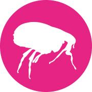 triact fleas
